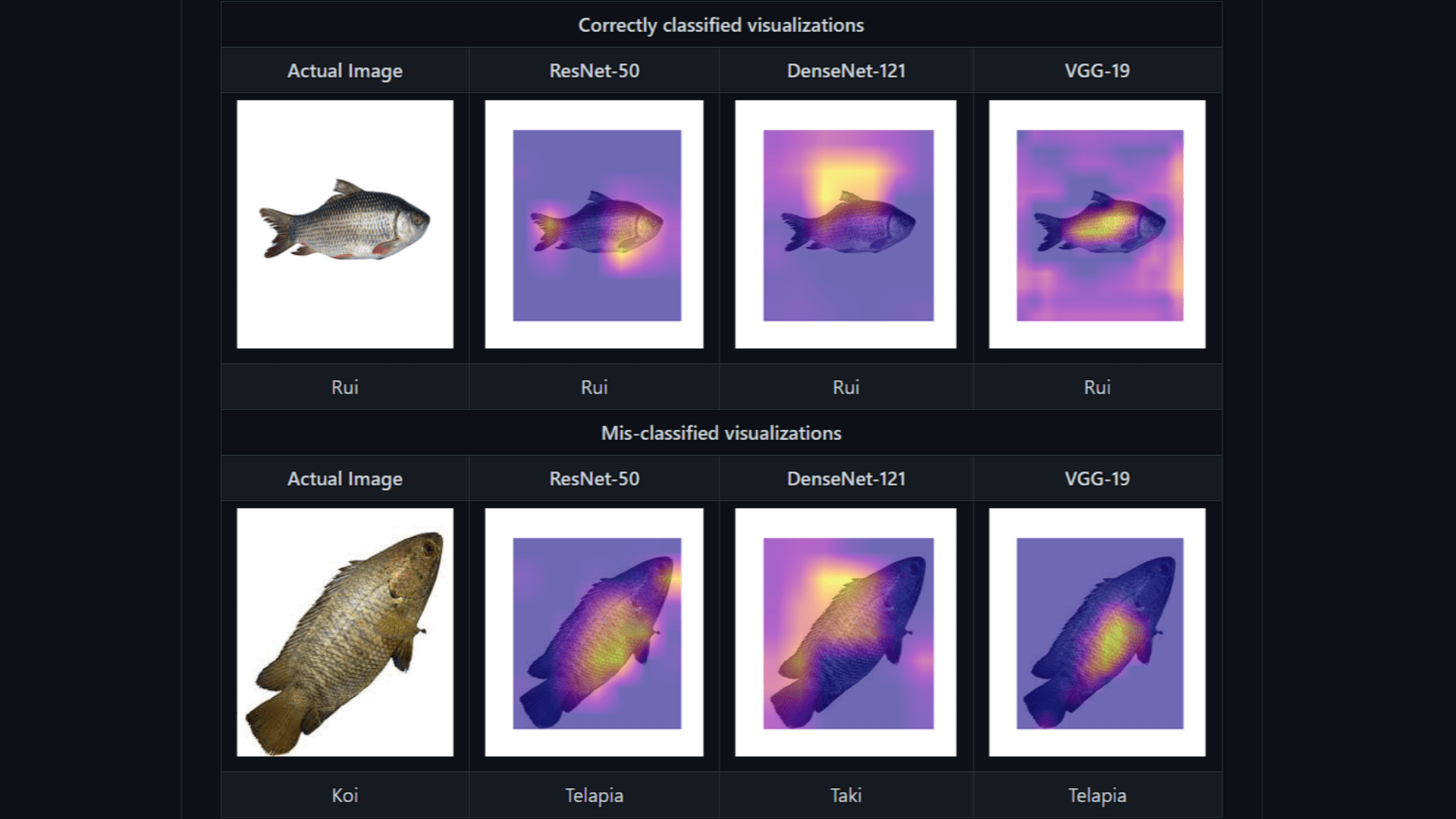 Interpretable Fish Recognizer